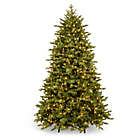 Alternate image 0 for National Tree Company 7.5-Foot Pre-Lit Princeton Deluxe Fraser Fir Christmas Tree