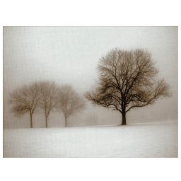 15++ Finest Winter wall art images information