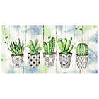 Alternate image 0 for Potted Succulents on Wood 34-Inch x 17-Inch Canvas Wall Art
