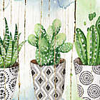 Alternate image 2 for Potted Succulents on Wood 34-Inch x 17-Inch Canvas Wall Art
