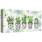 Alternate image 3 for Potted Succulents on Wood 34-Inch x 17-Inch Canvas Wall Art