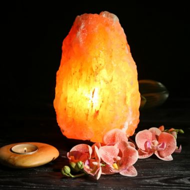 bed bath & beyond salt lamps