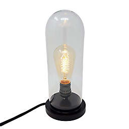 Himalayan Glow Desk Lamp Glass Shade Edison Bulb in Natural