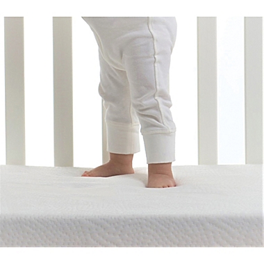 Bundle of Dreams&reg; Classic 100% Breathable Crib and Toddler Mattress with Organic Cotton Cover. View a larger version of this product image.