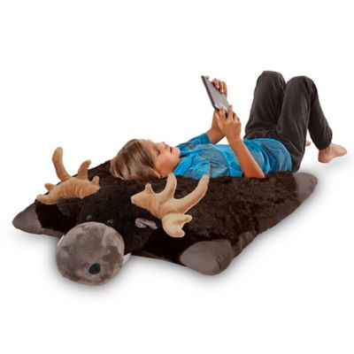 chocolate moose teddy