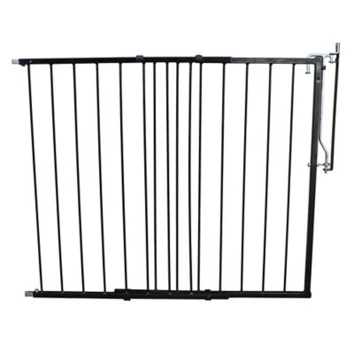 black metal pet gate