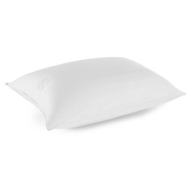 Back/Stomach Sleeper Bed Pillow 