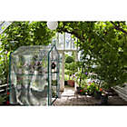 Alternate image 1 for Pure Garden 4-Foot 7-Inch x 6-Foot x 4-Inch 12-Tier Walk-In Greenhouse