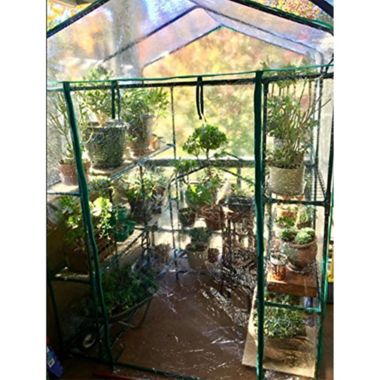 Pure Garden 4-Foot 7-Inch x 6-Foot x 4-Inch 12-Tier Walk-In Greenhouse. View a larger version of this product image.