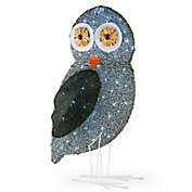 National Tree Company&reg; Lighted Fuzzy Owl