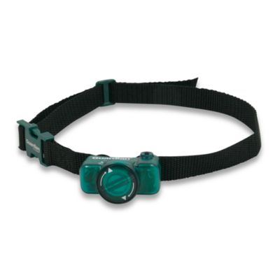 invisible fence receiver for sale