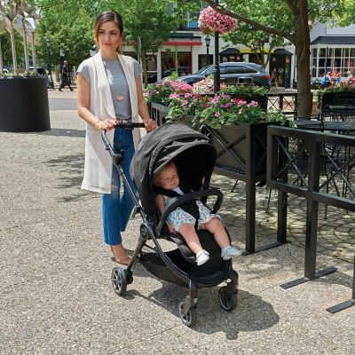 city tour lux belly bar