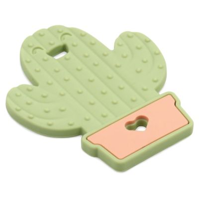 cactus teether target