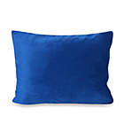 Alternate image 0 for My First Memory Foam Youth Pillow in Blue