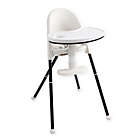 Alternate image 0 for Primo Convertible Folding High Chair in Black