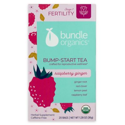 Bundle Organics&trade; 20-Count Raspberry Ginger Bump-Start Tea