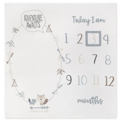 baby milestones blanket target