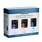 Alternate image 0 for Aromatherapy Essentials 100% Pure 10 ml. Essential Oils Gift Set