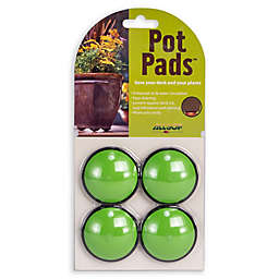 Allsop Home & Garden Pod Pack in Lime (4-Pack)
