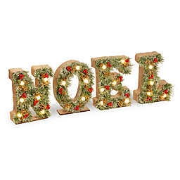 National Tree Company® 36-Inch "Noel" LED Holiday Decor