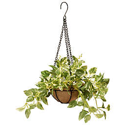 National Tree Company® 9-Inch Artificial Pothos Hanging Plant in Basket