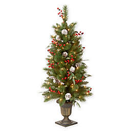 National Tree Company® 4-Foot Pre-Lit Frosted Pine Berry Entrance Tree