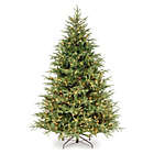Alternate image 0 for National Tree Company&reg; 6.5-Foot Frasier Grande Christmas Tree with Dual Color Lights