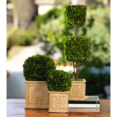 Zodax Cinzia Double Boxwood Topiary In Green 