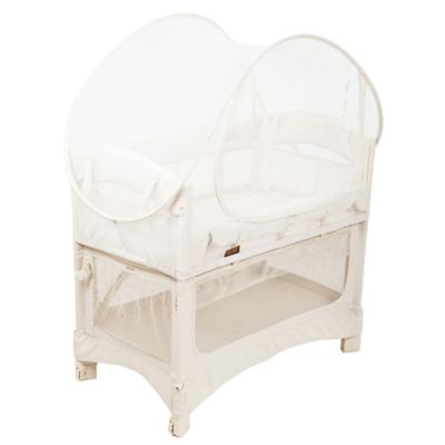 arm's reach clear vue bassinet