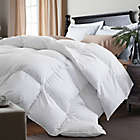 Alternate image 0 for Kathy Ireland&reg; White Goose Feather and Goose Down Twin Comforter