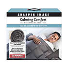 Alternate image 0 for Sharper Image&reg; Calming Comfort 25 lb. Weighted Blanket in Grey
