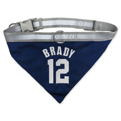 patriots pet bandana