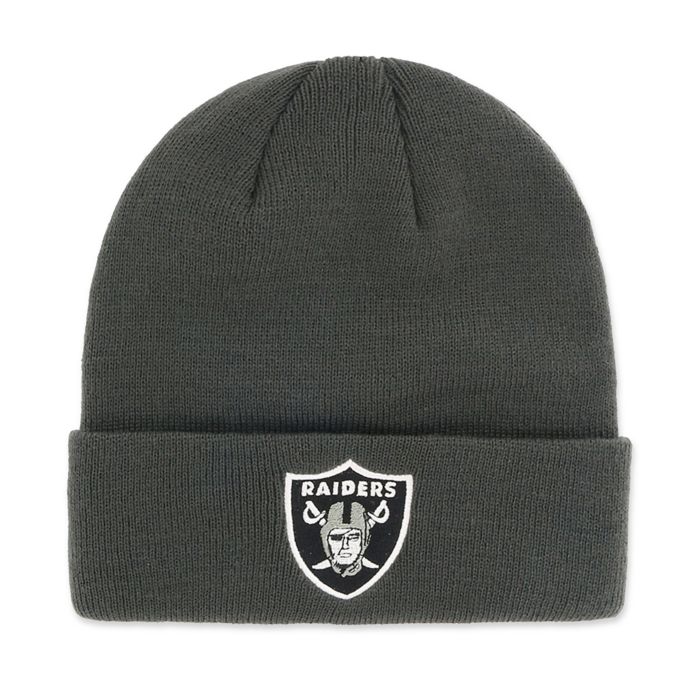 raiders salute to service beanie