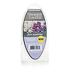 Alternate image 0 for Yankee Candle&reg; Lilac Blossoms 6-Pack Fragrance Wax Melts