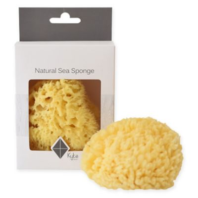 sponge bath sponge