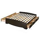 Alternate image 0 for Mates Queen Platform Storage Bed with 6 Drawers in Black