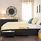 Alternate image 1 for Mates Queen Platform Storage Bed with 6 Drawers in Black