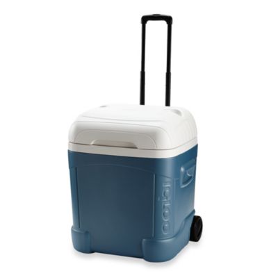 igloo maxcold 70 quart cooler