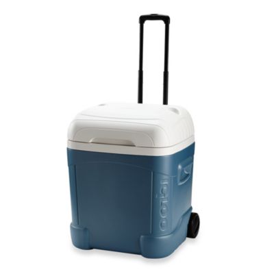 igloo maxcold 70 qt cooler