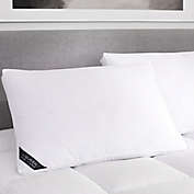 J. Queen New York&trade; Regency Medium Cotton Bed Pillow