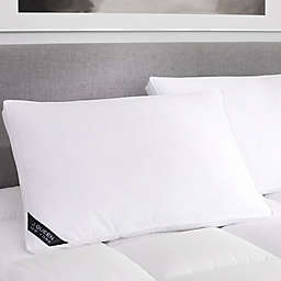 J. Queen New York™ Regency Medium Cotton Standard/Queen Bed Pillow