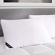 J. Queen New York&trade; Regency Firm Cotton Pillow in White