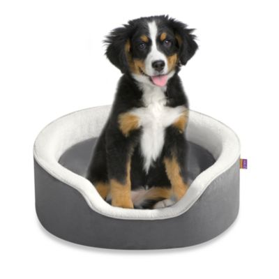 halo pet bed