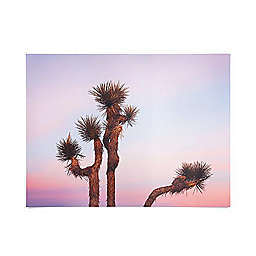 Deny Designs Catherine Mcdonald Desert Skies 18-Inch x 24-Inch Fabric Poster