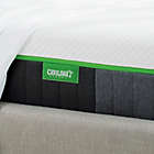 Alternate image 0 for Cariloha&reg; Bamboo Twin Mattress Made From Viscose from Bamboo