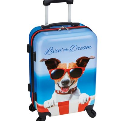 fun carry on luggage