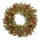 Alternate image 0 for National Tree Company&reg; 24-Inch Bristle Berry Wreath with Warm White Lights