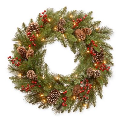 National Tree Company&reg; 24-Inch Bristle Berry Wreath with Warm White Lights