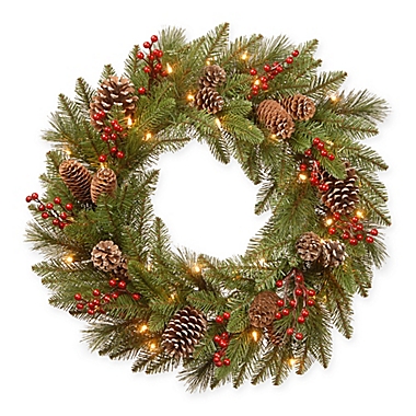 National Tree Company&reg; 24-Inch Bristle Berry Wreath with Warm White Lights. View a larger version of this product image.