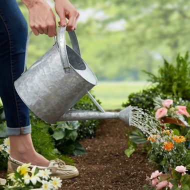 Galvanized Garden Personalized Watering Can | Bed Bath & Beyond